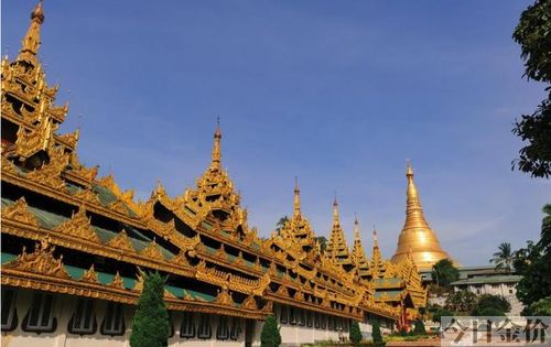 黄金建