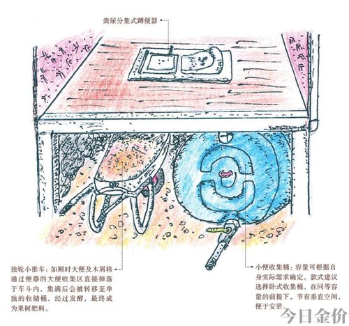 女王黄金便器 磁力