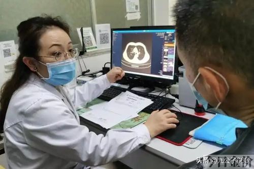 黄金叶金芒果