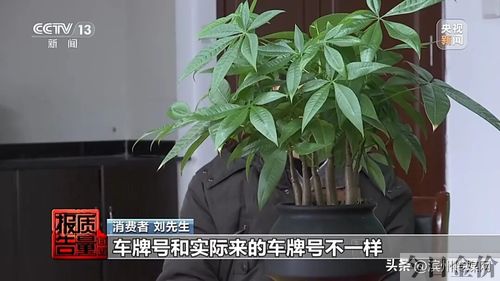 滴滴黄金会员