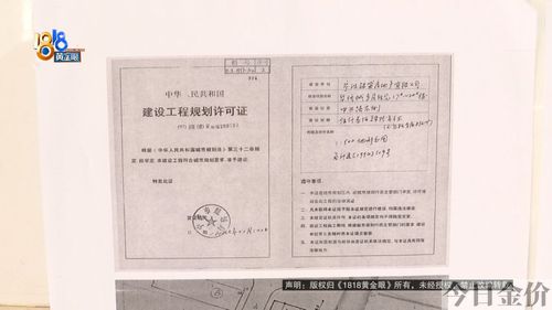 181黄金眼