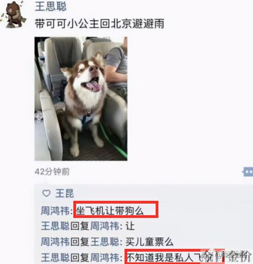 黄金右手加藤鹰