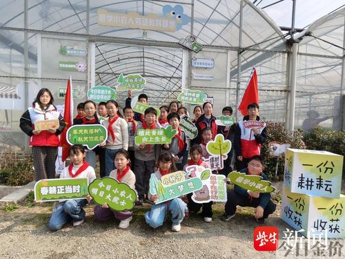 常熟黄金小玉米哪里买