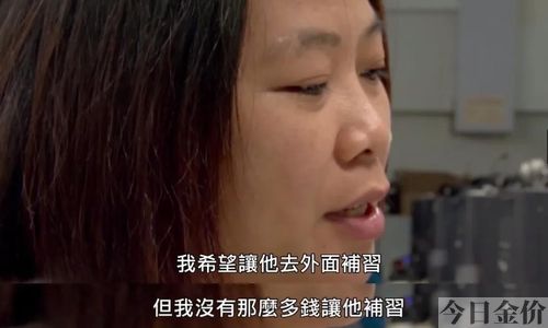 印度黄金猫鱼