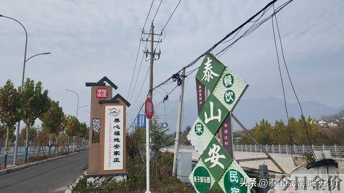 黄金杏