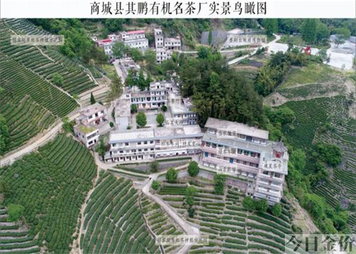 信阳黄金回收