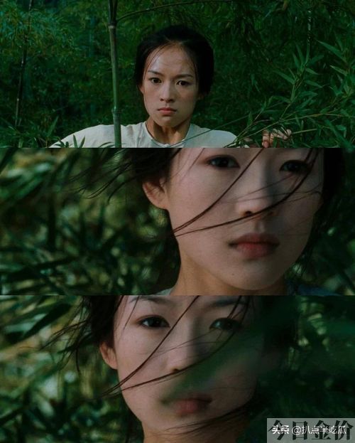 脸部黄金比例