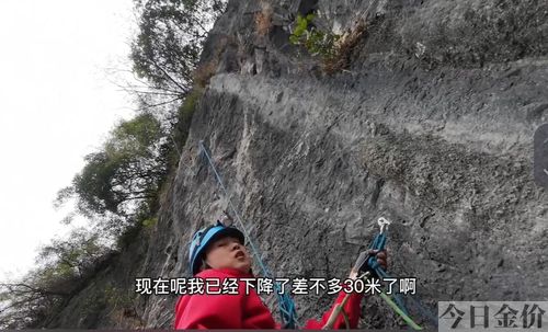 黄金洞