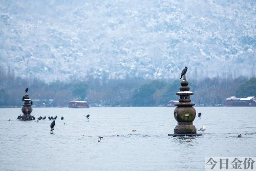 冒险岛黄金寺院怎么去