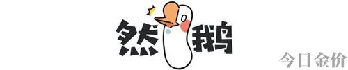 黄金鲱鱼