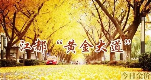 江都黄金大道在哪