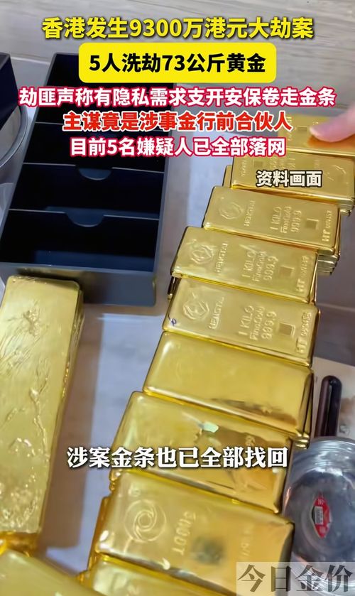 黄金大劫案百科