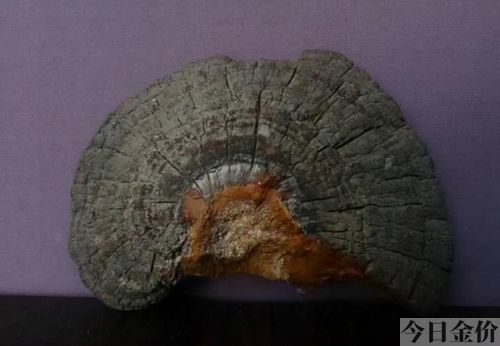 湖南古墓一吨黄金