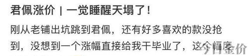 爱马仕黄金马桶