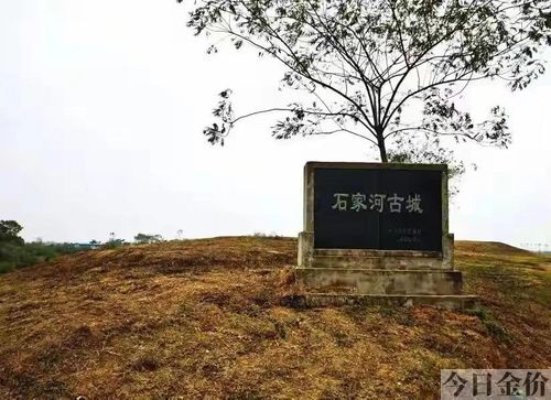 图腾部落黄金版