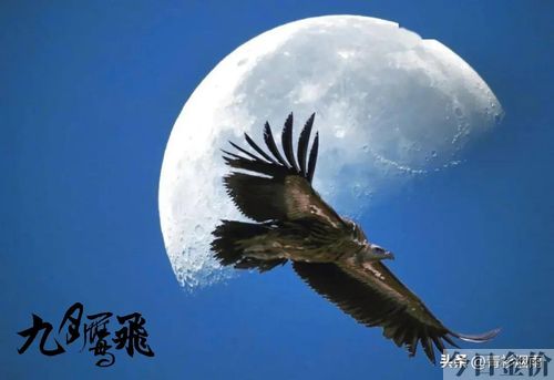 黄金魔霸天王
