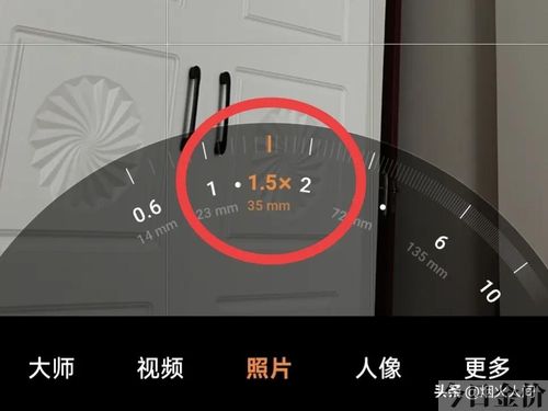 黄金分割线构图