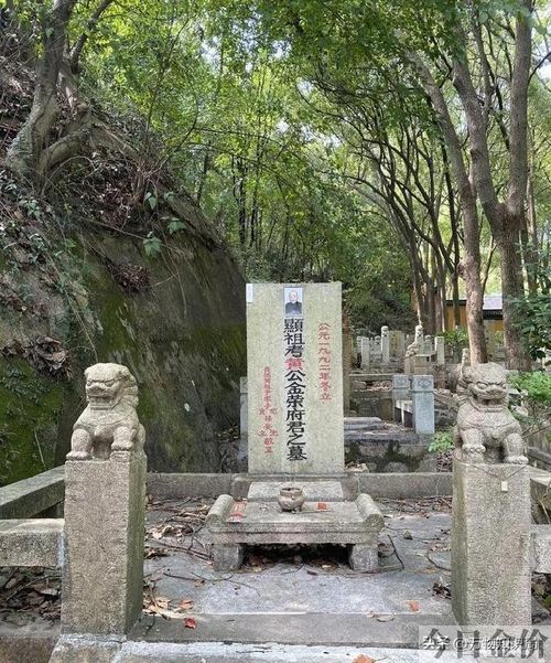 黄金荣照片