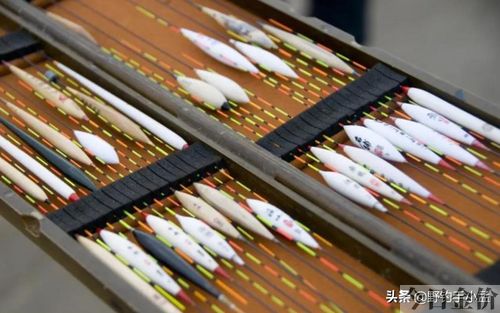黄金眼浮漂的使用心得