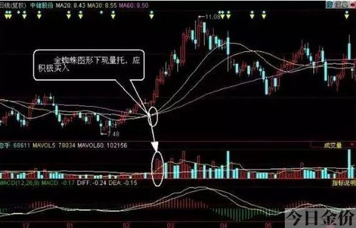 大庄先生黄金梦工厂