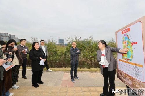 晋江黄金回收