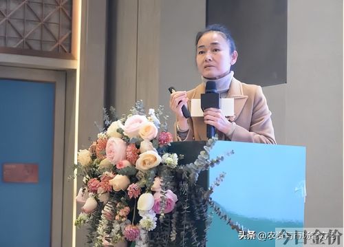 黄金叶品种