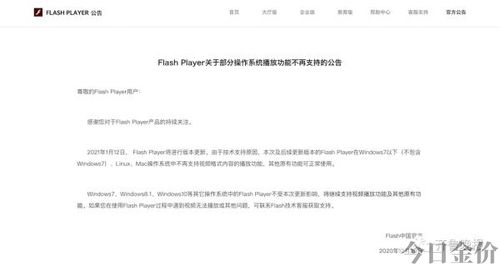 黄金矿工冒险记