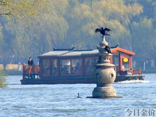 冒险岛黄金寺院怎么去
