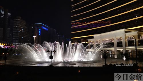 澳门黄金树图片