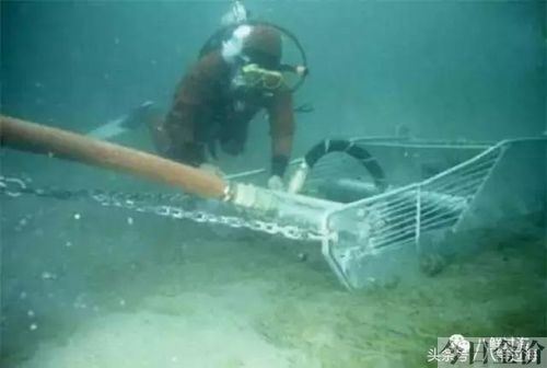 海鲜黄金贝的做法大全