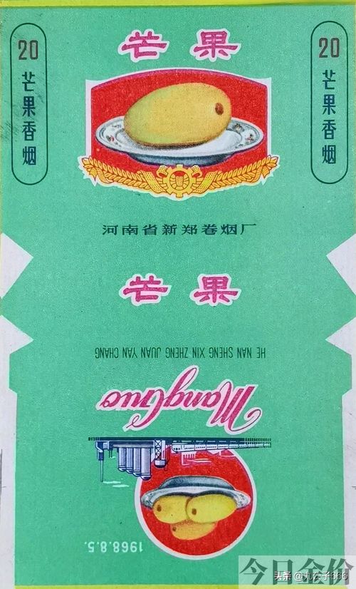 黄金叶金芒果