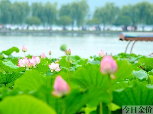 冒险岛黄金寺院怎么去