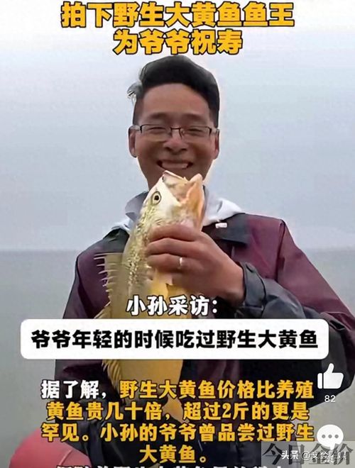野生黄金