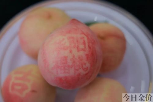 黄金蟠中蟠13图片