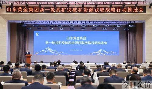 山东黄金地产旅游集团