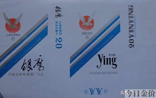 黄金叶金芒果