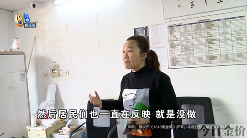 181黄金眼