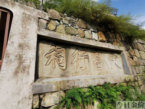 古族 黄金米