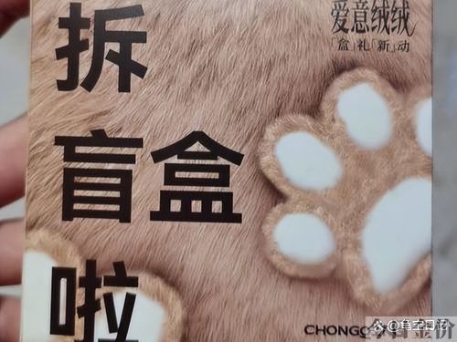 黄金巴西龟