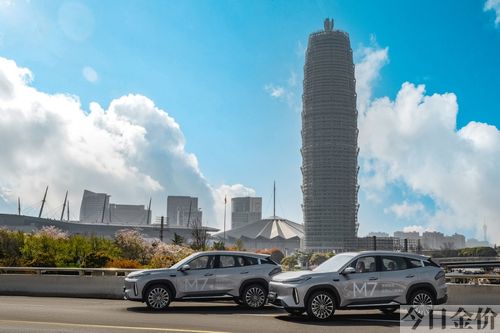 黄金龙鹰