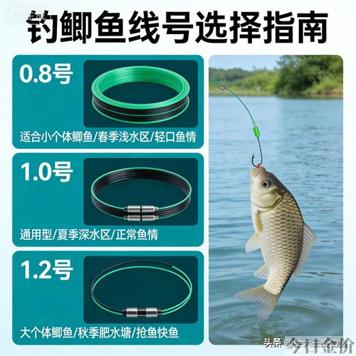 黄金鲫鱼