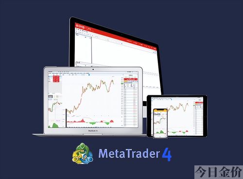 现货黄金分析软件