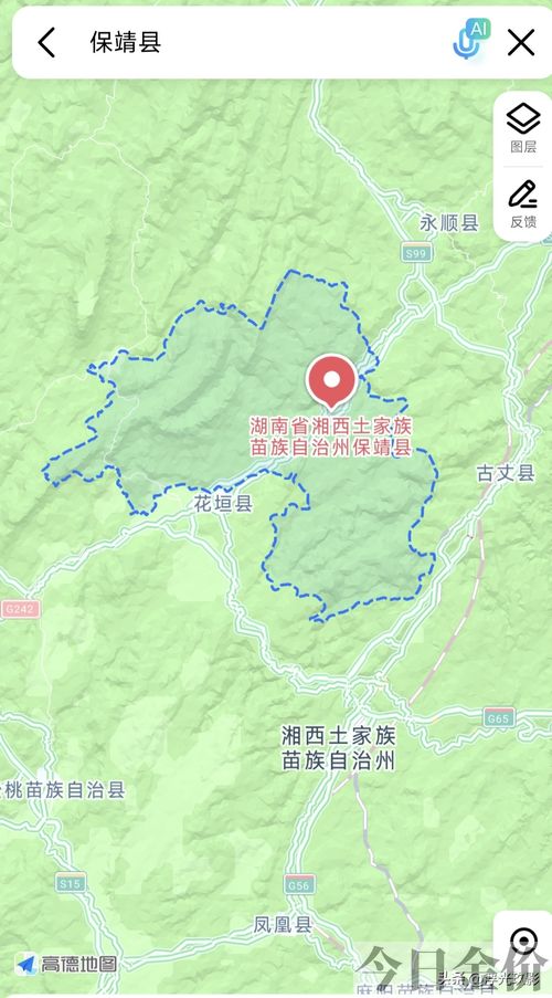 保靖黄金茶是绿茶吗