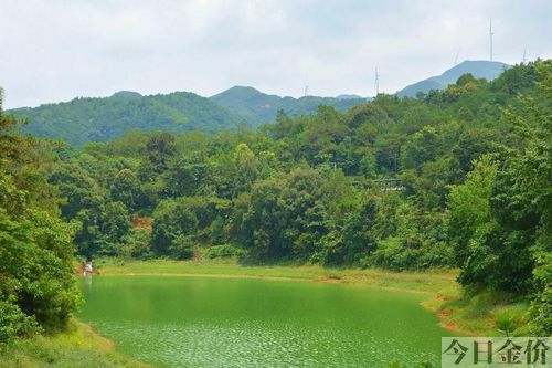 电白黄金海岸