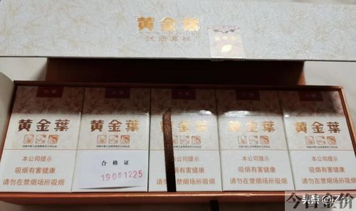 黄金叶为什么叫十渠
