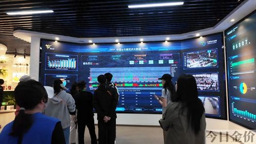 黄金通道电视剧全集