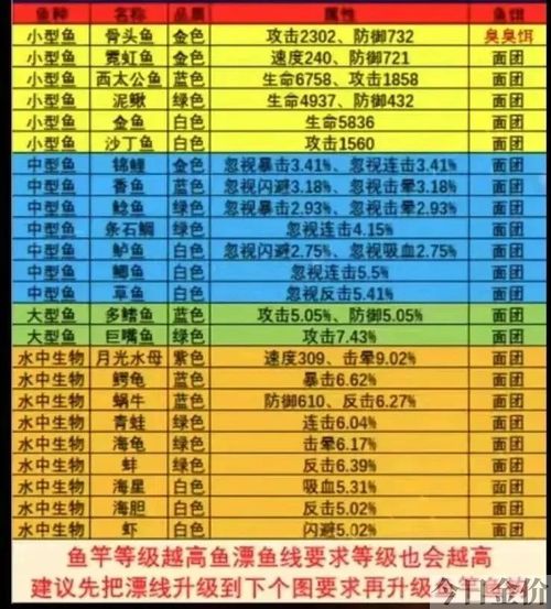 海豚金是什么黄金