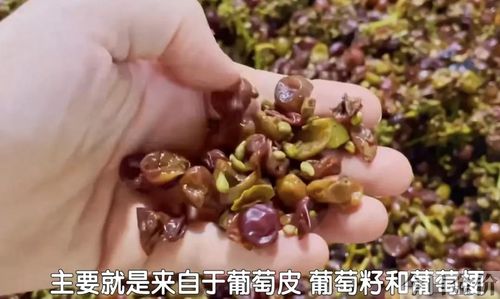 中国冰葡萄黄金山谷