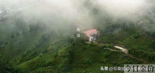 双色球分析预测大师黄金版