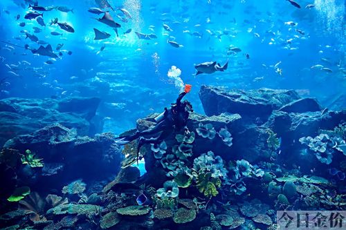 舟山黄金湾水库怎么走